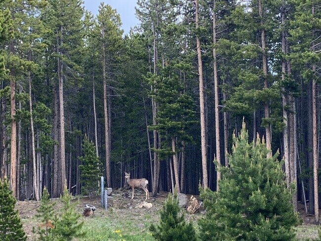 Building Photo - 28 Valley View Ln