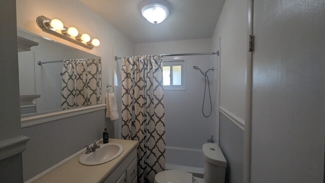 Main bath photo 2 - 3039 Dow Dr