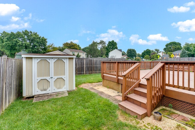 Backyard - 5471 Braddock Ridge Dr