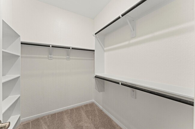 Building Photo - 151 W Coralburst Lp