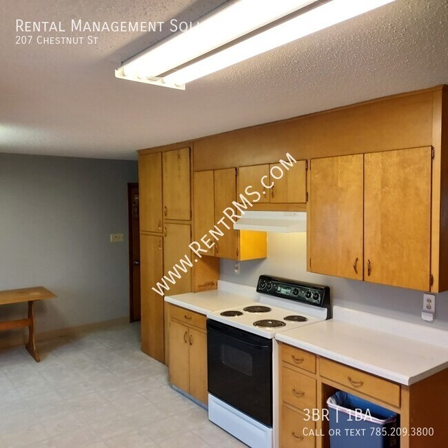 Building Photo - 207 Chestnut St