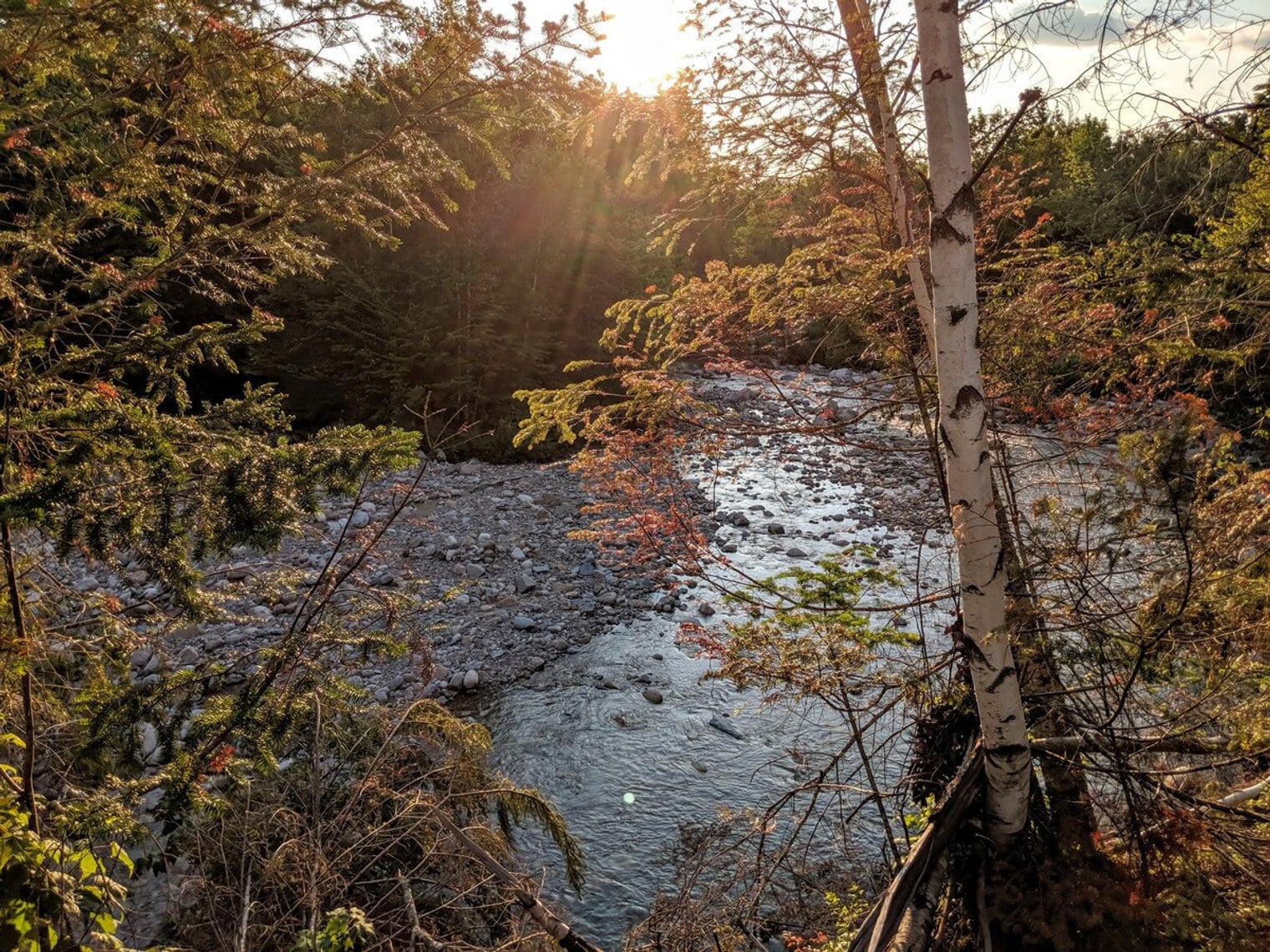 Building Photo - 140 Paquette Cir