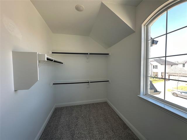 Building Photo - 500 Hoot Owl Hl