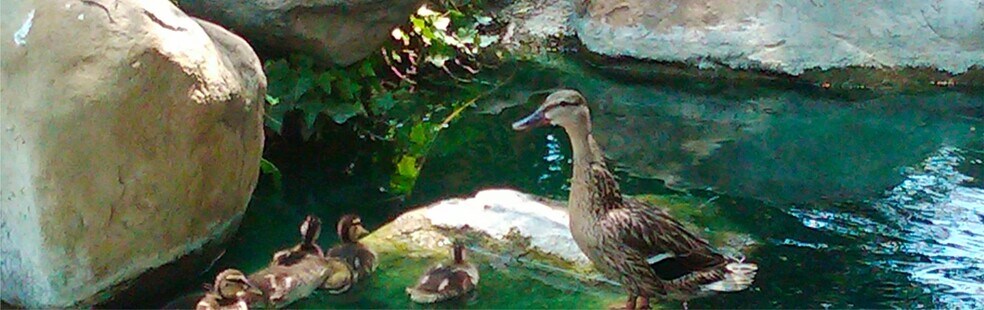 Building Photo - 24518 Nicklaus Dr