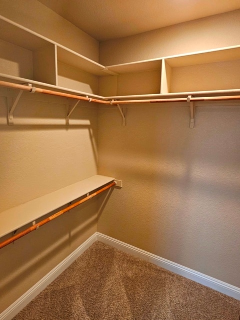 Building Photo - 541 Addison Ct