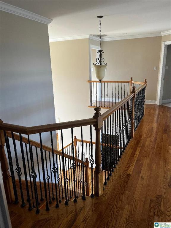 Building Photo - 59 Carousel Ln