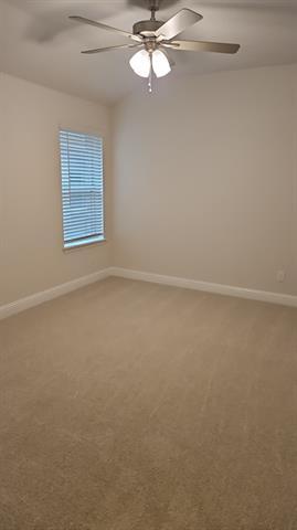 Building Photo - 4116 Limestone Blf Dr