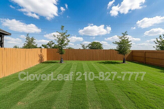 Building Photo - 165 Acorn Cir