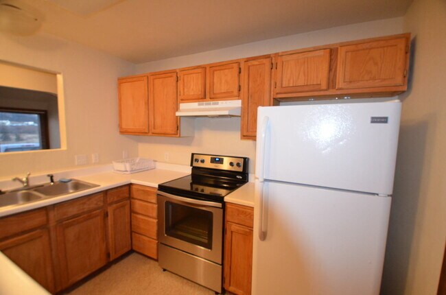 Building Photo - Dogs Negotiable! 25 Minutes from Breckenridge!