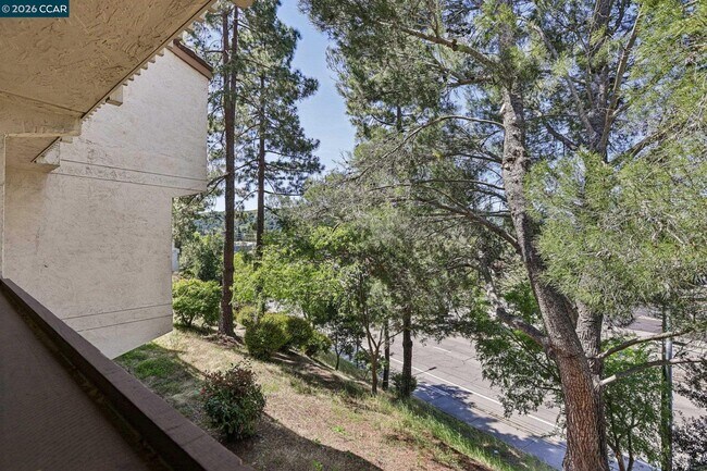 Building Photo - 1541 Moraga Way