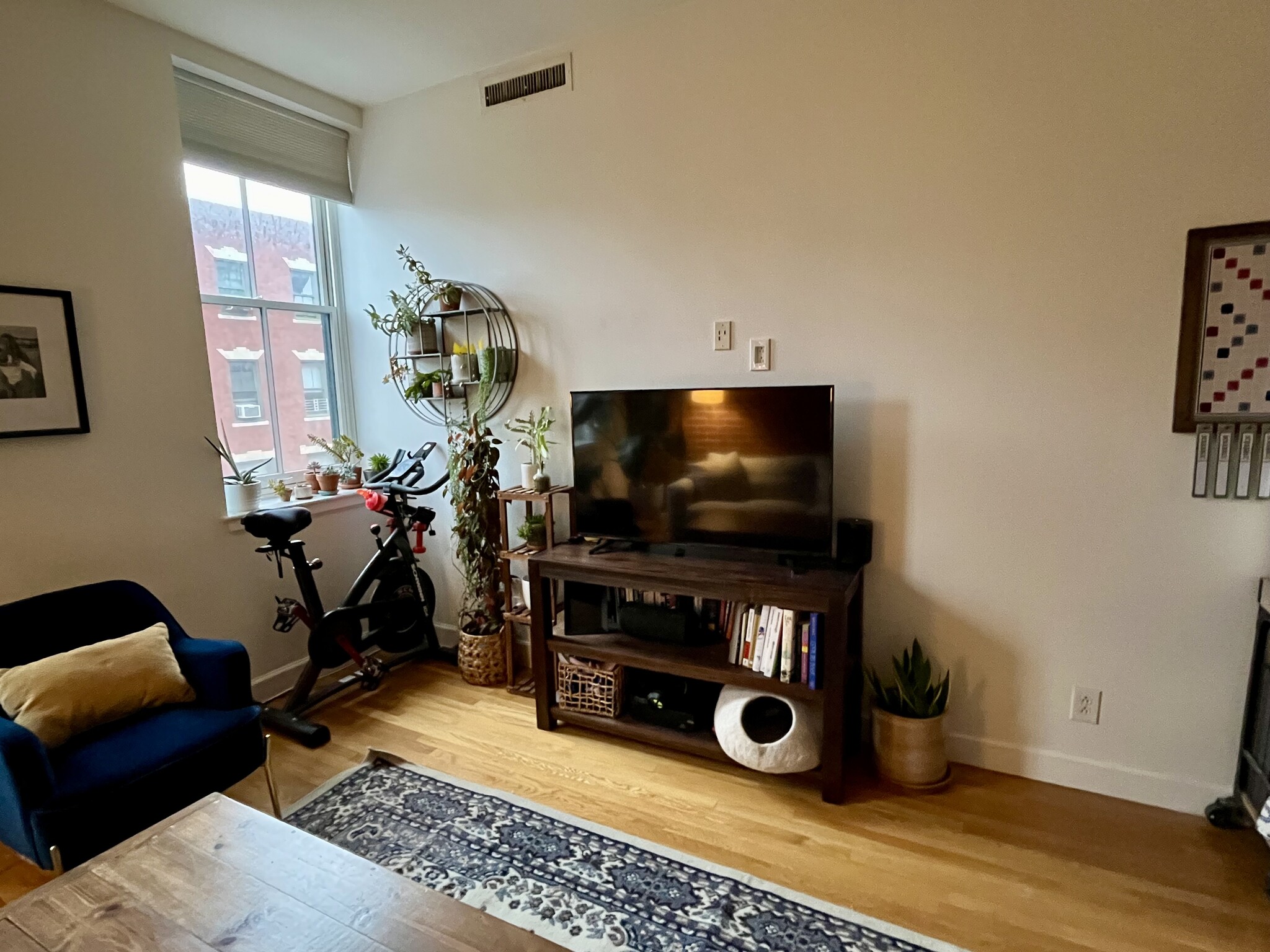 Current Living Room - 5 Appleton St