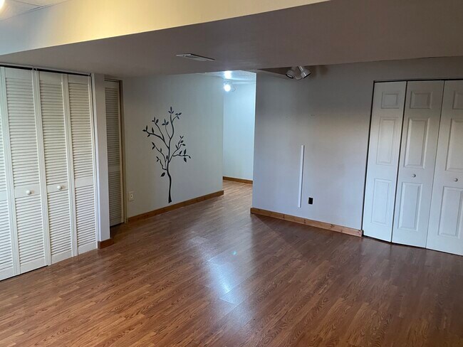 Basement - 104 Pine Creek Dr