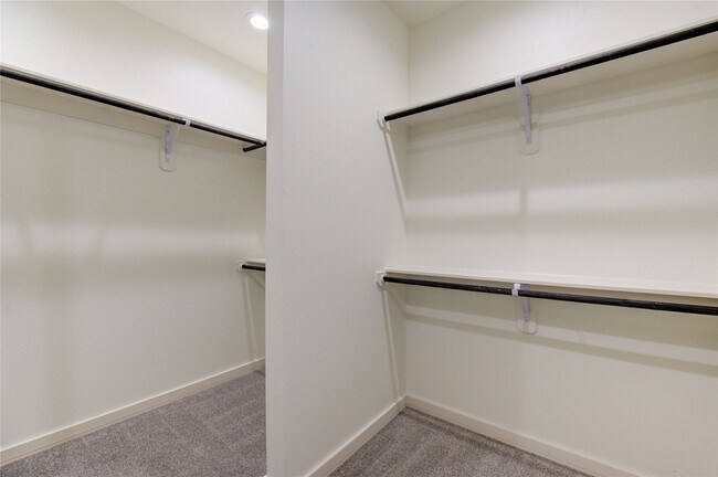 Building Photo - 2922 El Fenice Ln