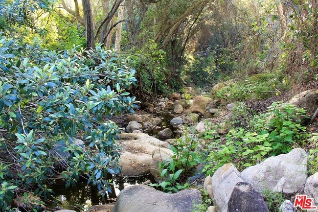 Building Photo - 20200 Paradise Ln