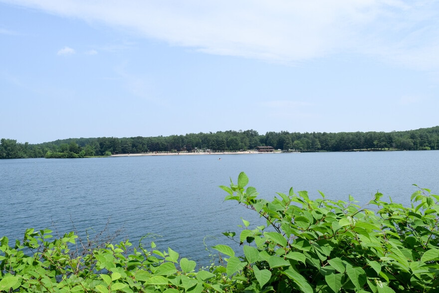 Lake View - 49 Grandview Dr