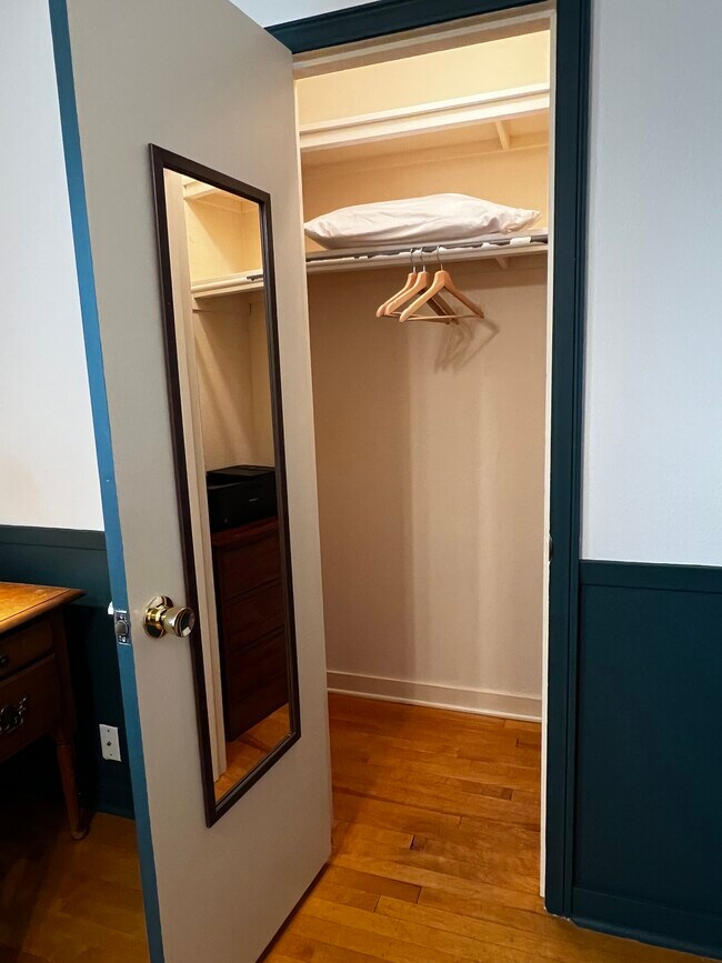 Ample closet space. - 228 W Lexington Blvd