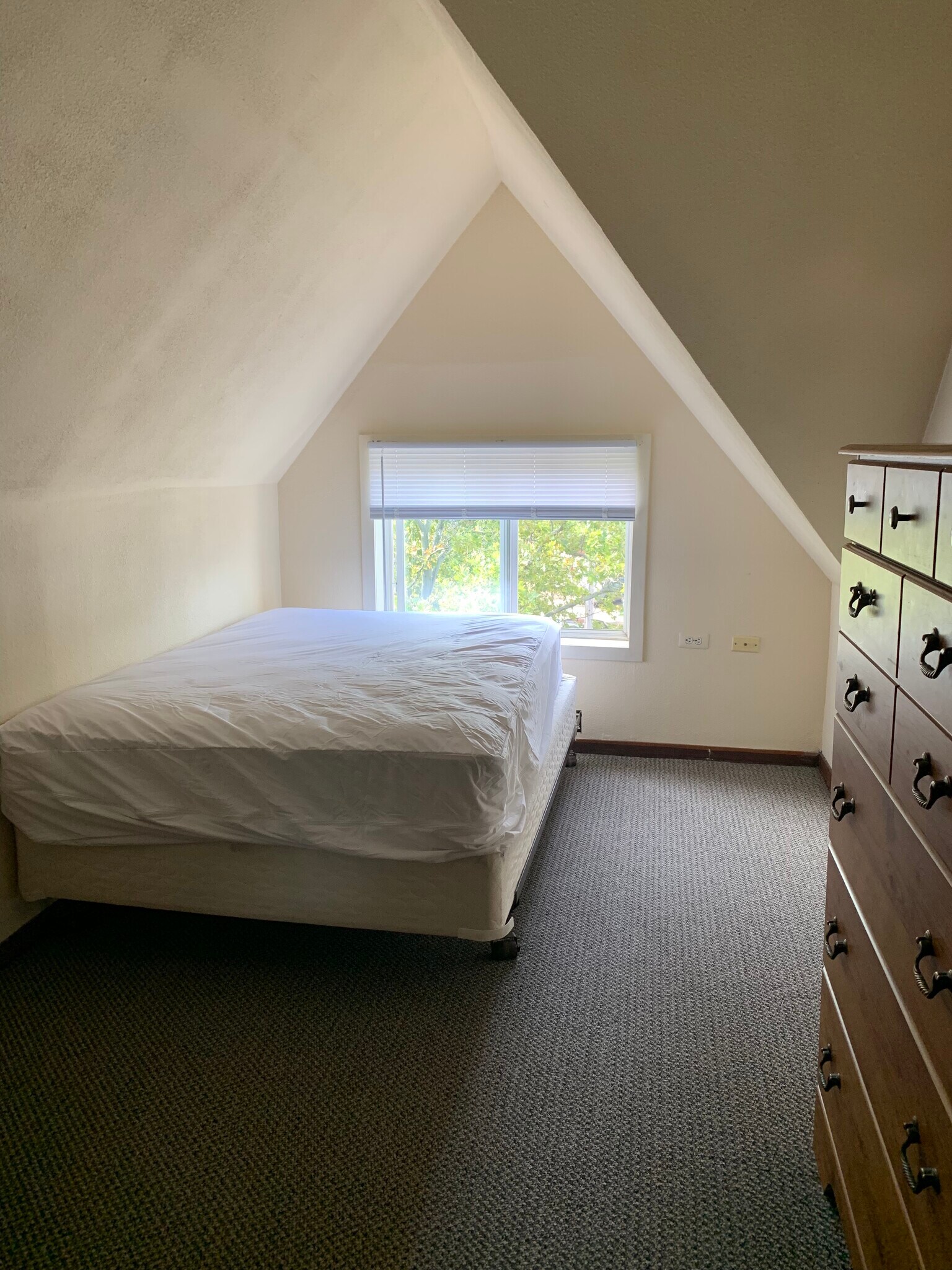 Building Photo - 315 Packard St