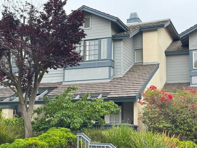 Building Photo - Stunning house in the heart of La Jolla Cl...