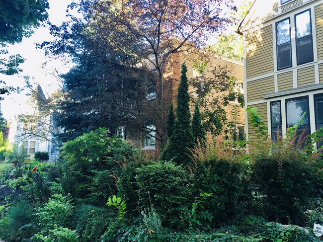 The lush green space from the front of the house. - 2424 Stevens Ave