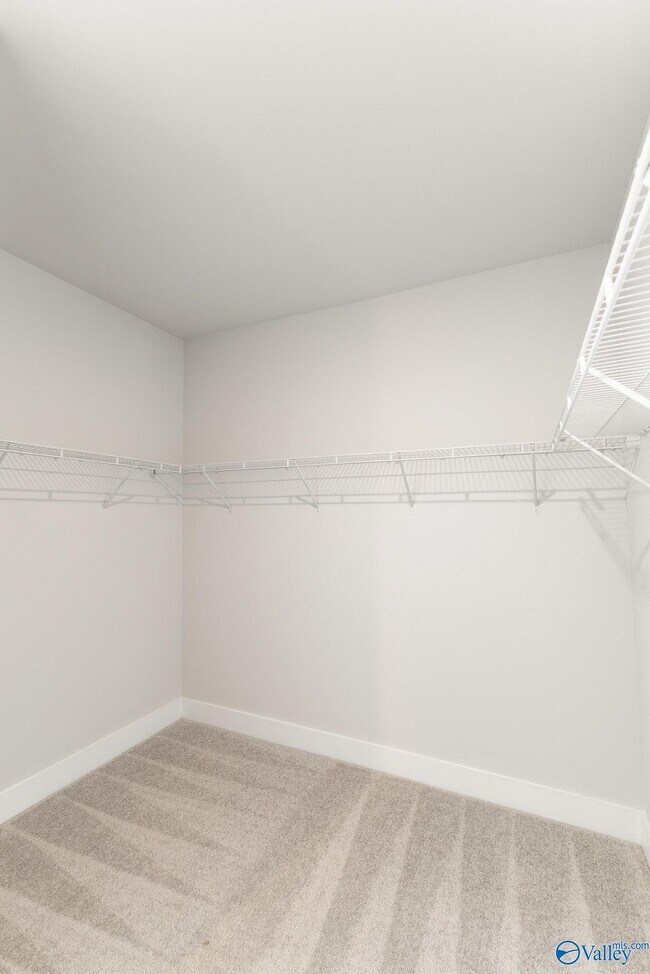 Building Photo - 217 John Clift Cir
