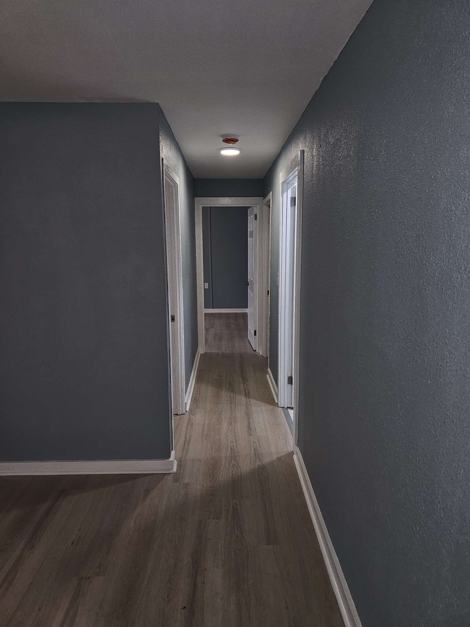 Building Photo - 505 S Magnolia St