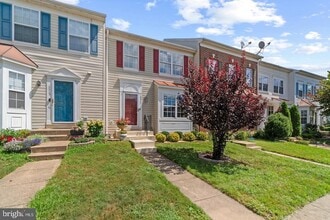 Building Photo - 3317 Hibiscus Ct