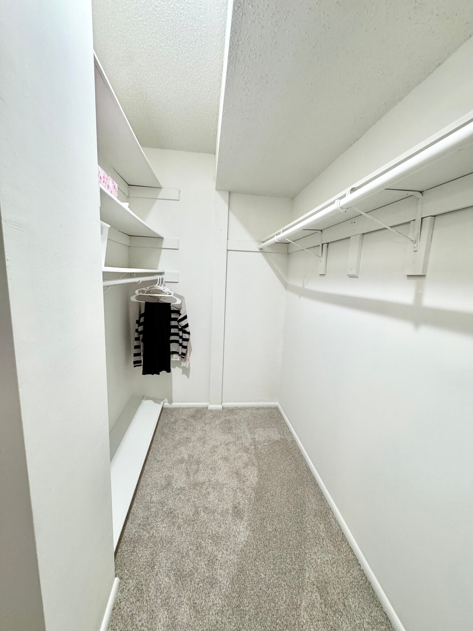 Building Photo - 3675 Sylvan Ln