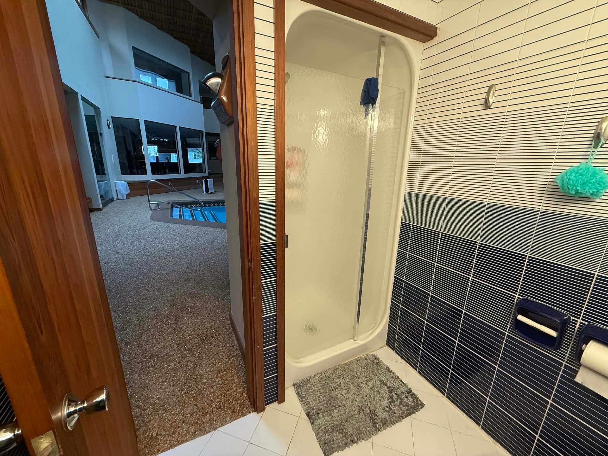 Pool Room Bathroom Shower - 123 Hardy St
