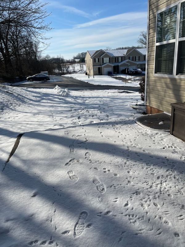 Building Photo - 1650 Mathew Dr