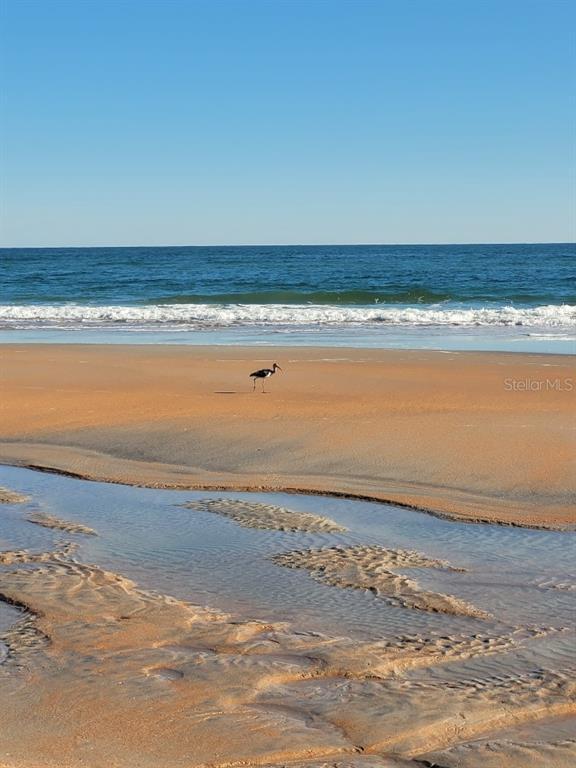 Building Photo - 1 N Ocean Palm Villas