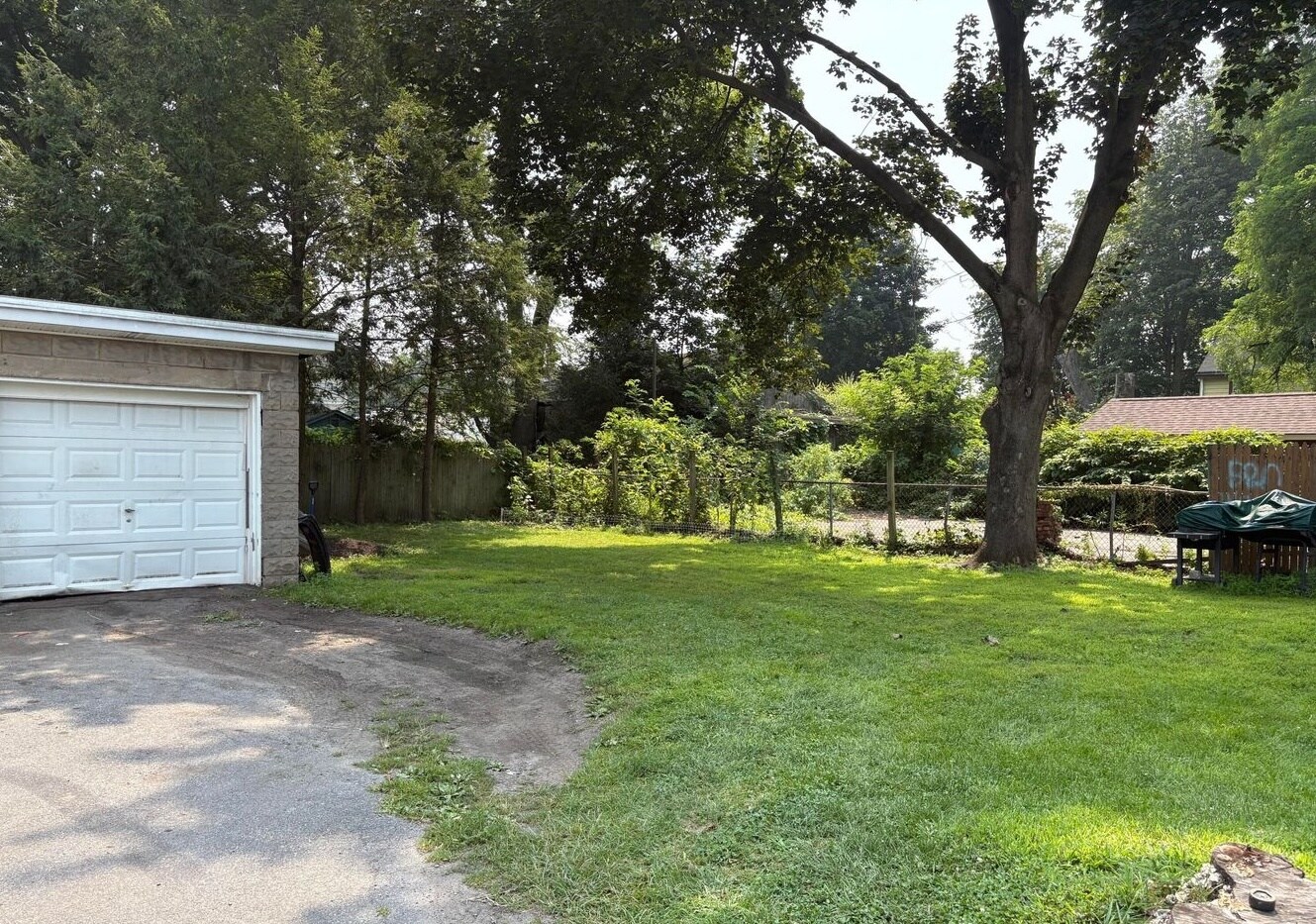 Yard - 56 Cedar St