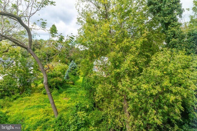 Building Photo - 103 E Duval St