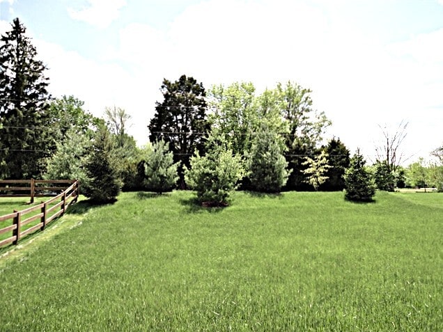 Building Photo - 6607 Thistle Grove