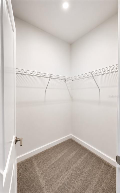 Building Photo - 4744 Waltham Forest Dr