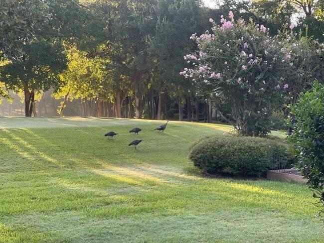 Building Photo - Mill Creek Executive Home Overlooking Golf Course at 17th Tee