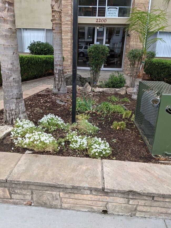 Interior Photo - PLAZA