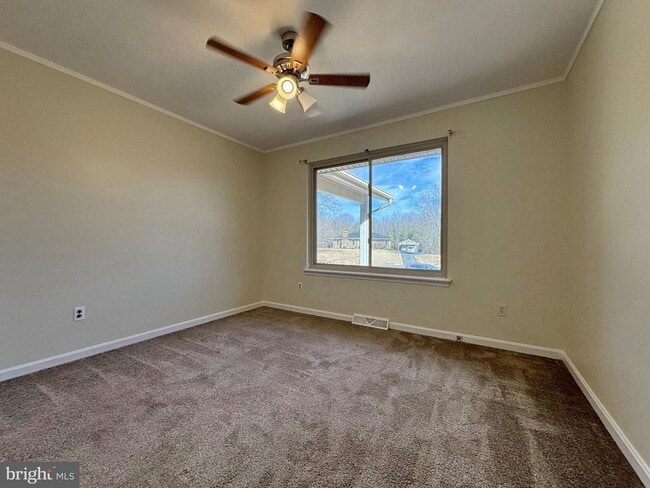 Building Photo - 401 Butternut Ct