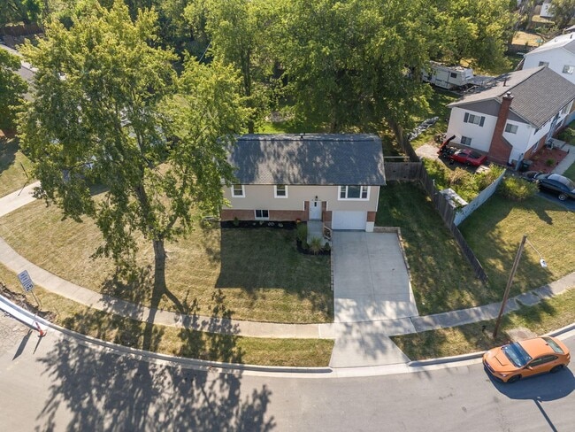 Building Photo - 299 Lombard Rd