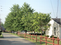 Building Photo - Bradford Pointe Apartments