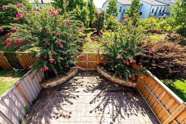 Backyard - 23460 Twin Falls Ter