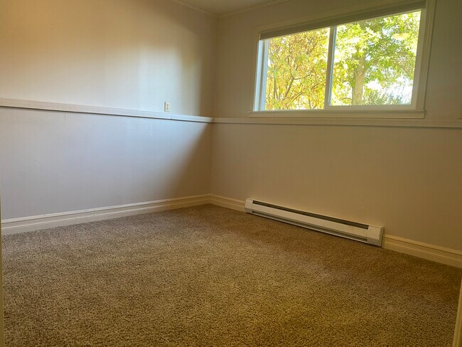 Bedroom #4 (Basement) - 317 N 21st Ave