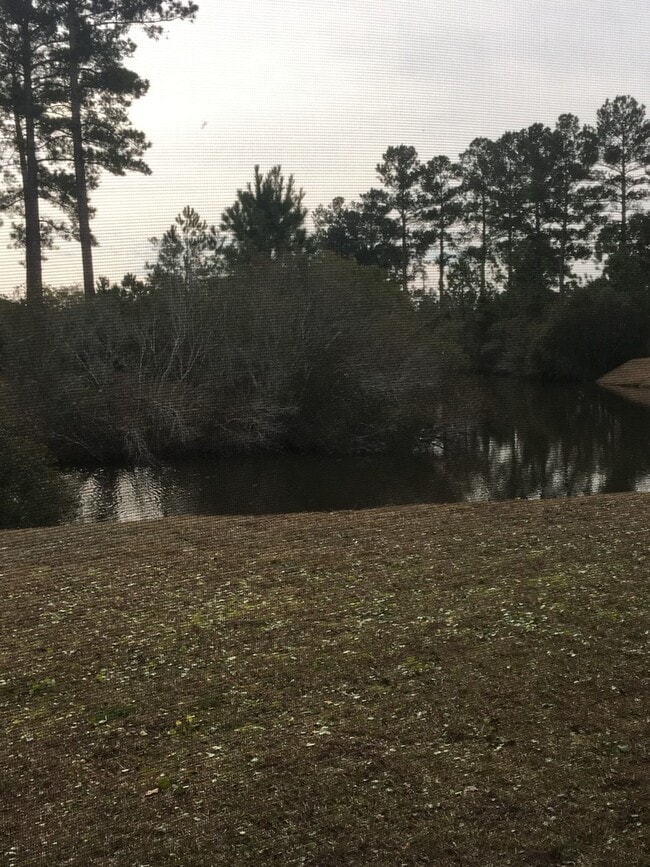 Building Photo - Large 3 Bedroom 1st Floor Condo in Ashley Park