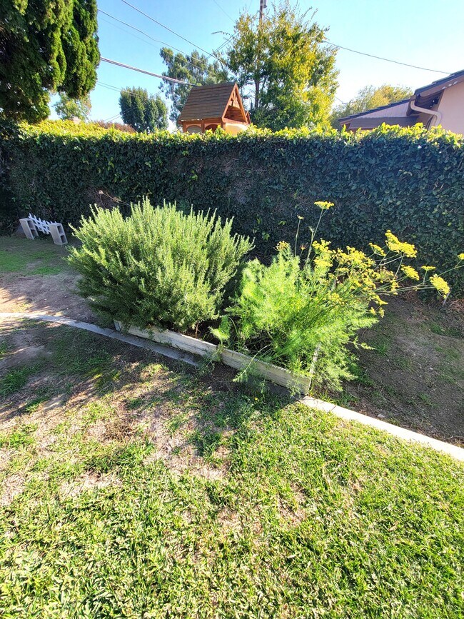 Building Photo - 224 Cabrillo Rd