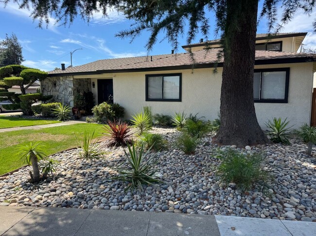 Building Photo - 849 Opal Dr