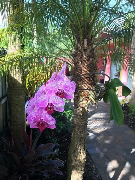 Building Photo - 1334 NE 16th Ave