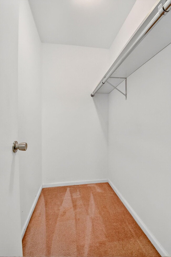 Building Photo - 4866 Dovewood Cir