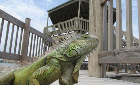 Building Photo - 115 Lake Emerald Dr