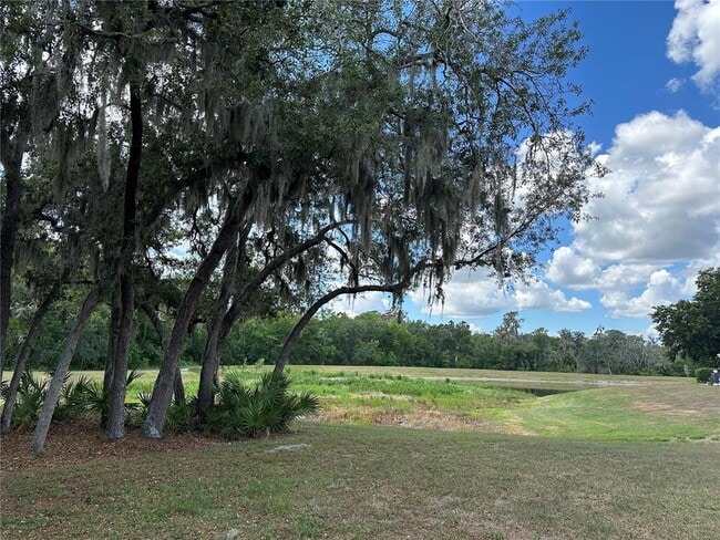 Building Photo - 15816 Fishhawk View Dr
