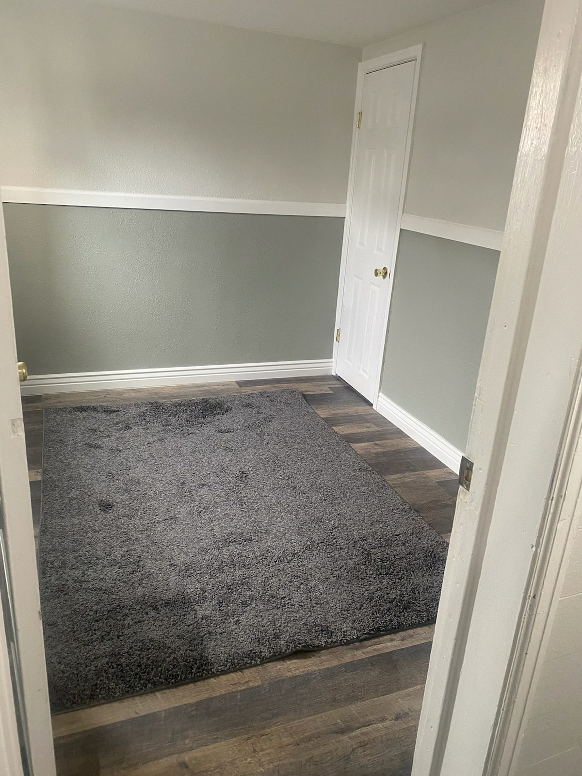 Bedroom 2 downstairs has egress window - 217 McClellan St