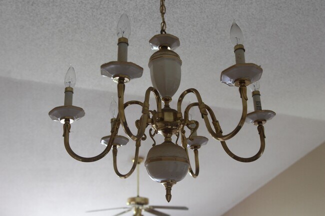 Building Photo - 825 Don Cutler Sr Dr